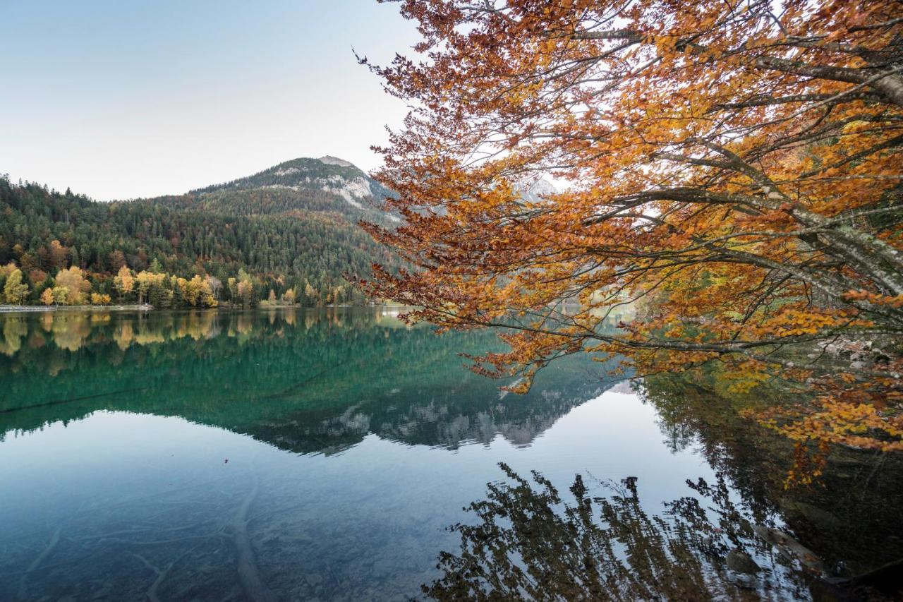 Mountain Fresh - Alpine Easy Stay Зёлль Экстерьер фото